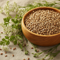 Graines de Coriandre Bio