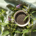 Graines de chia biologiques dans un bol crème